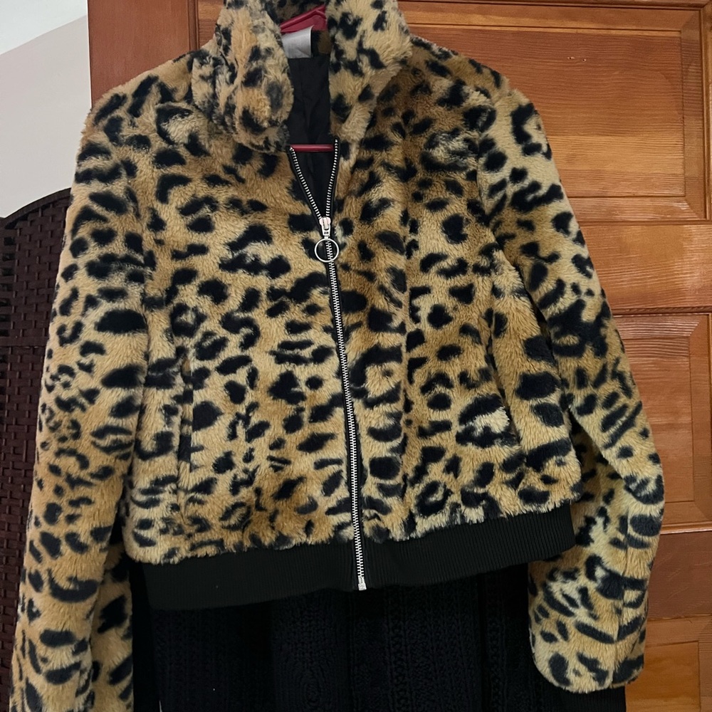 tiger coat, brandless